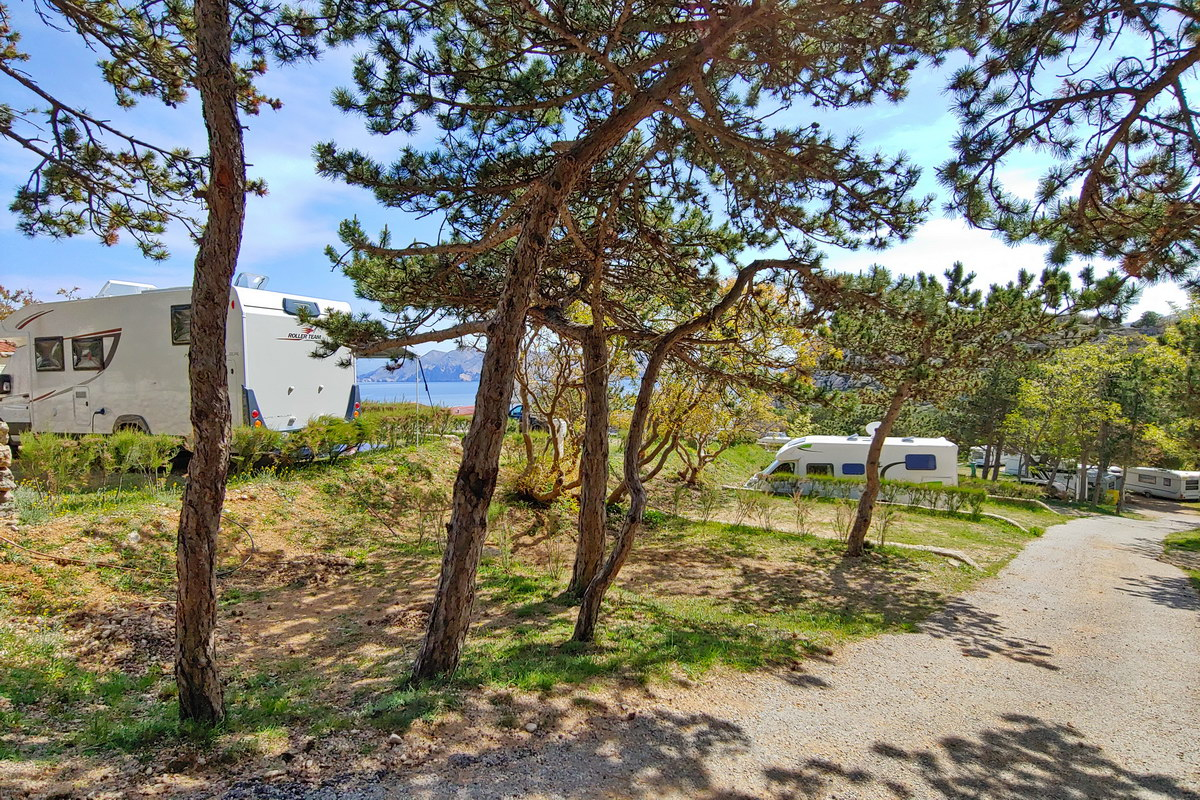 kamp-bunculuka-baska-5